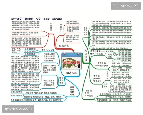 第四官员的职责与换人流程规则解析