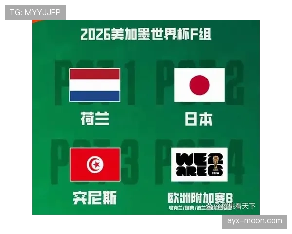 2026世界杯F组最终排名预测结果